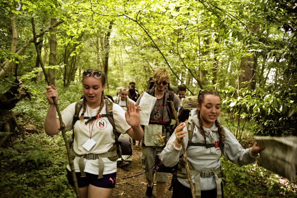 hikers walking through trees