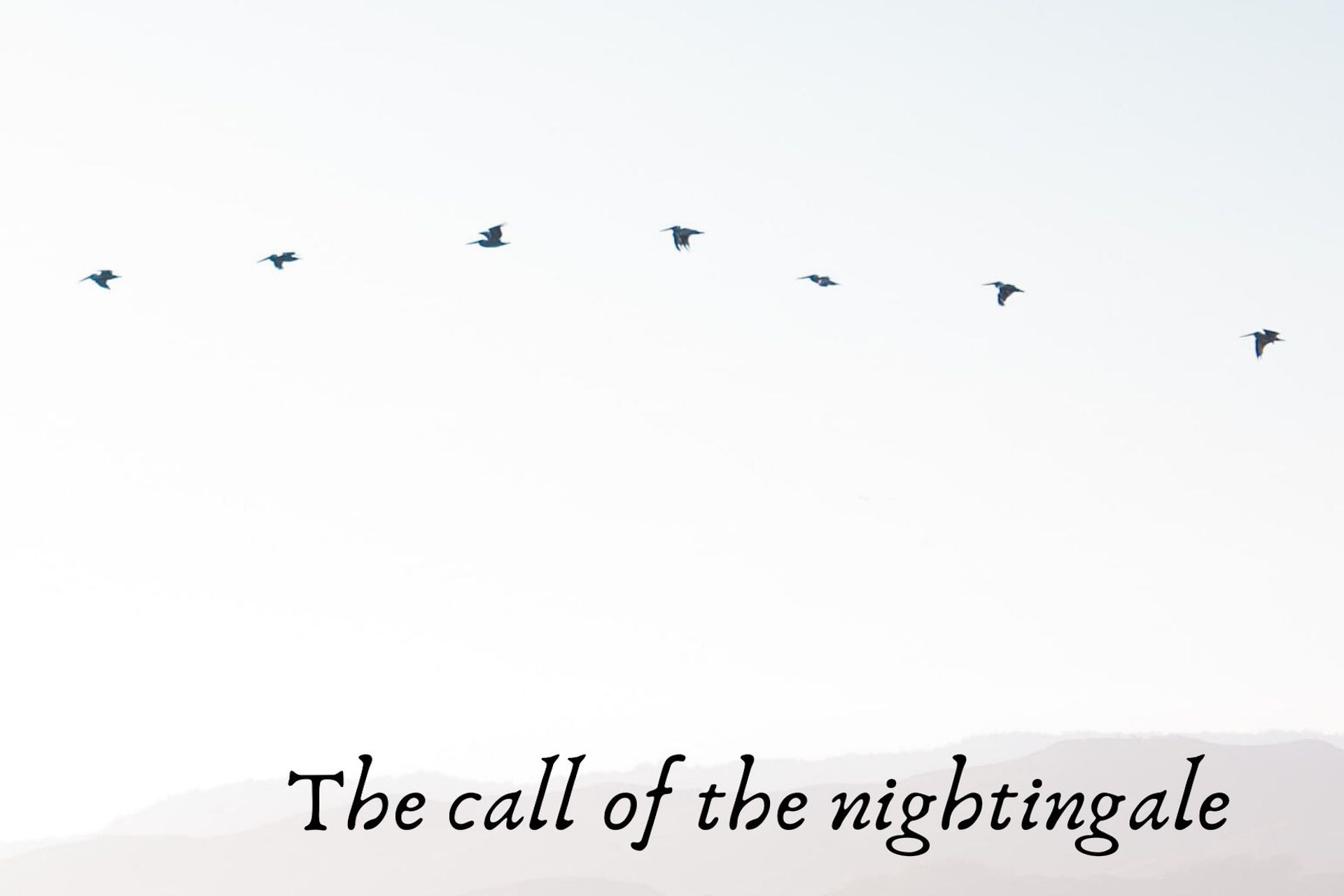 The call of the nightingale