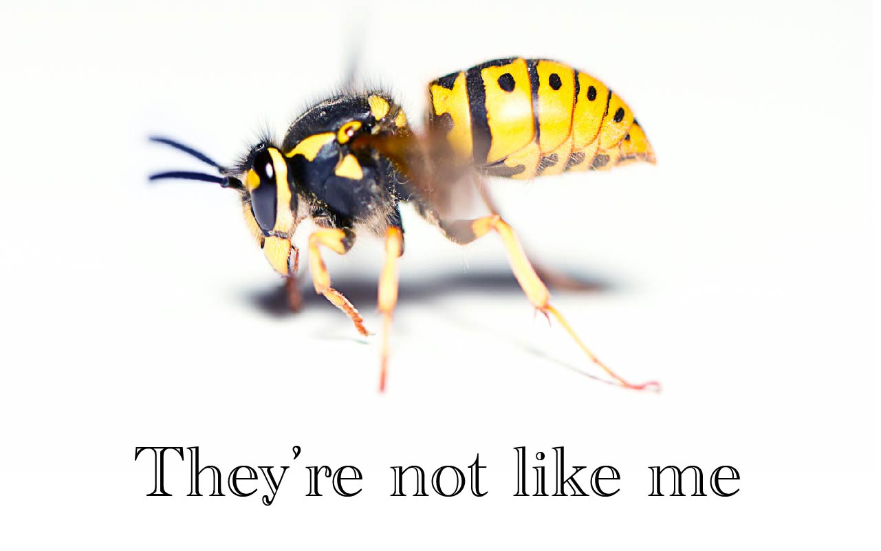They're not like me blog cover