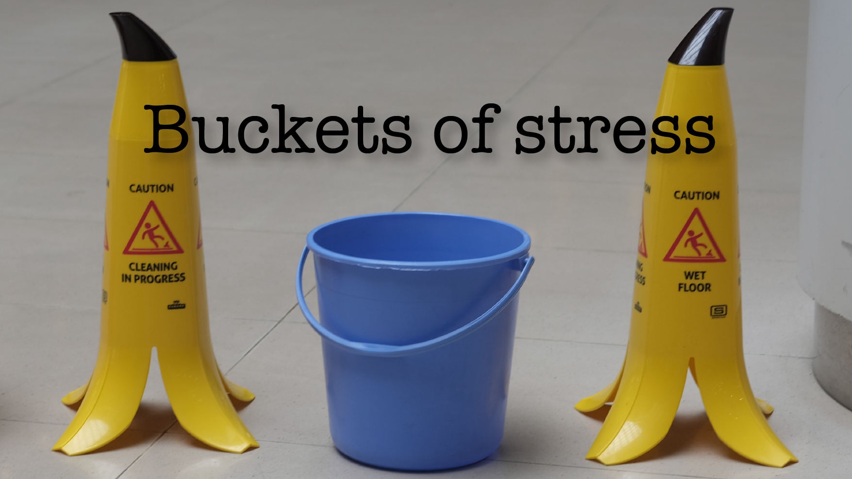 Blue bucket with two banana shaped wet floor signs
