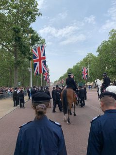 View down The Mall at Trooping the Colour